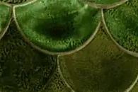 Feng Shui
