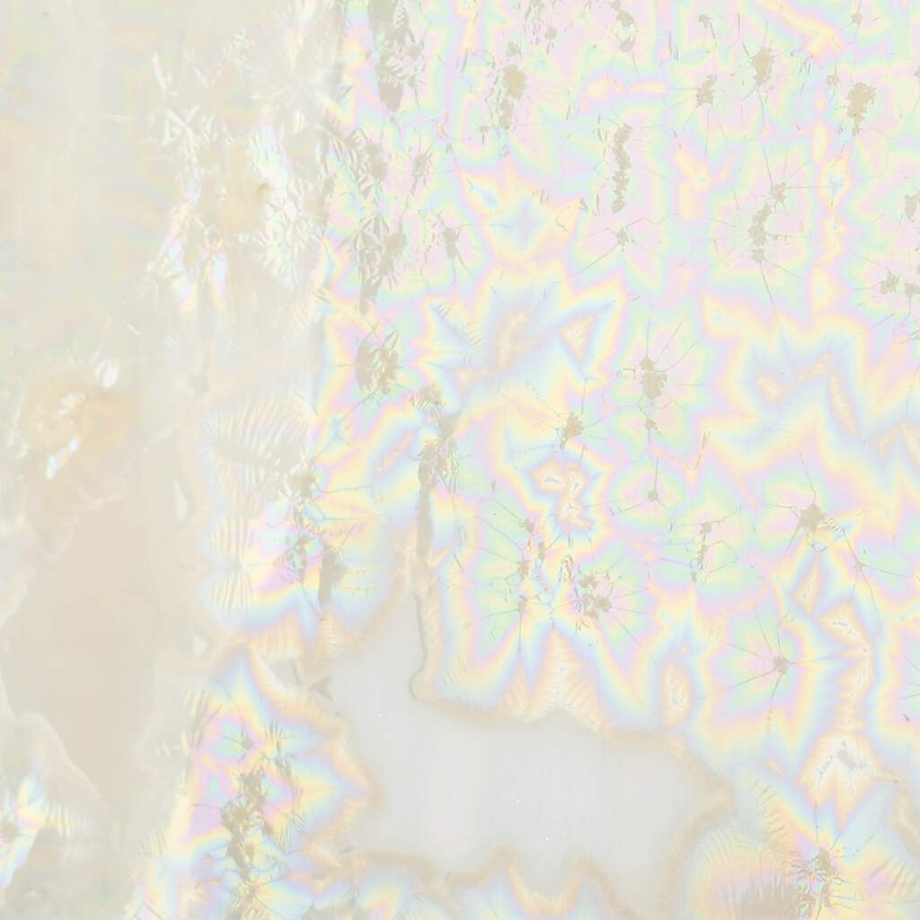 Supernova - CO 06