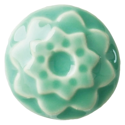 Succulent C24