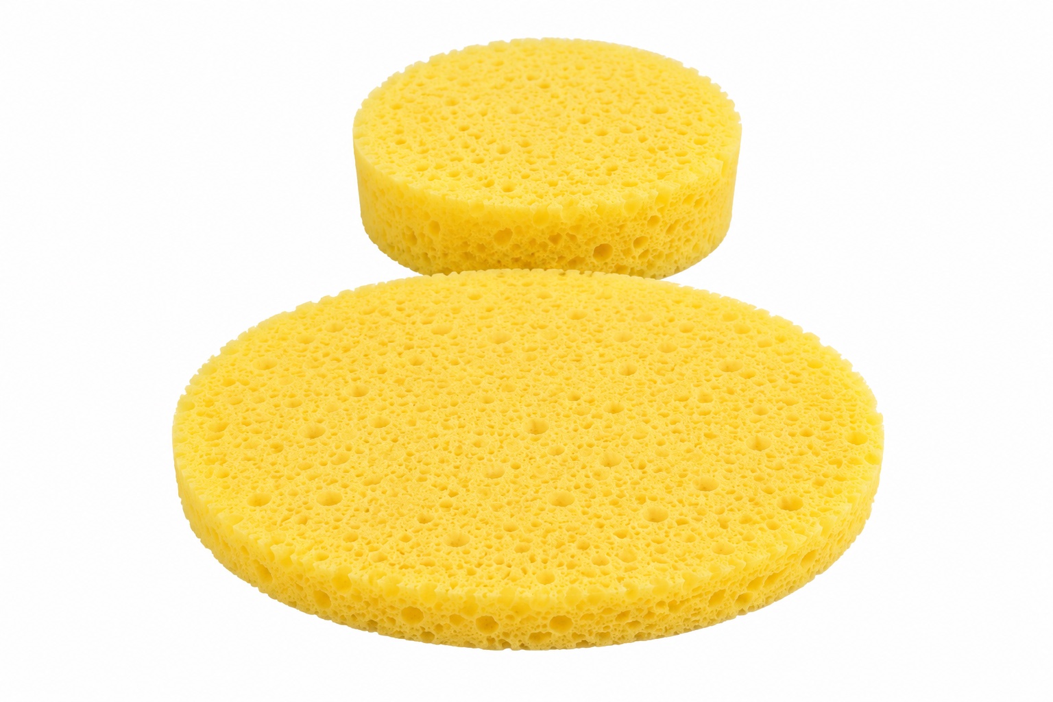Sponge Oval