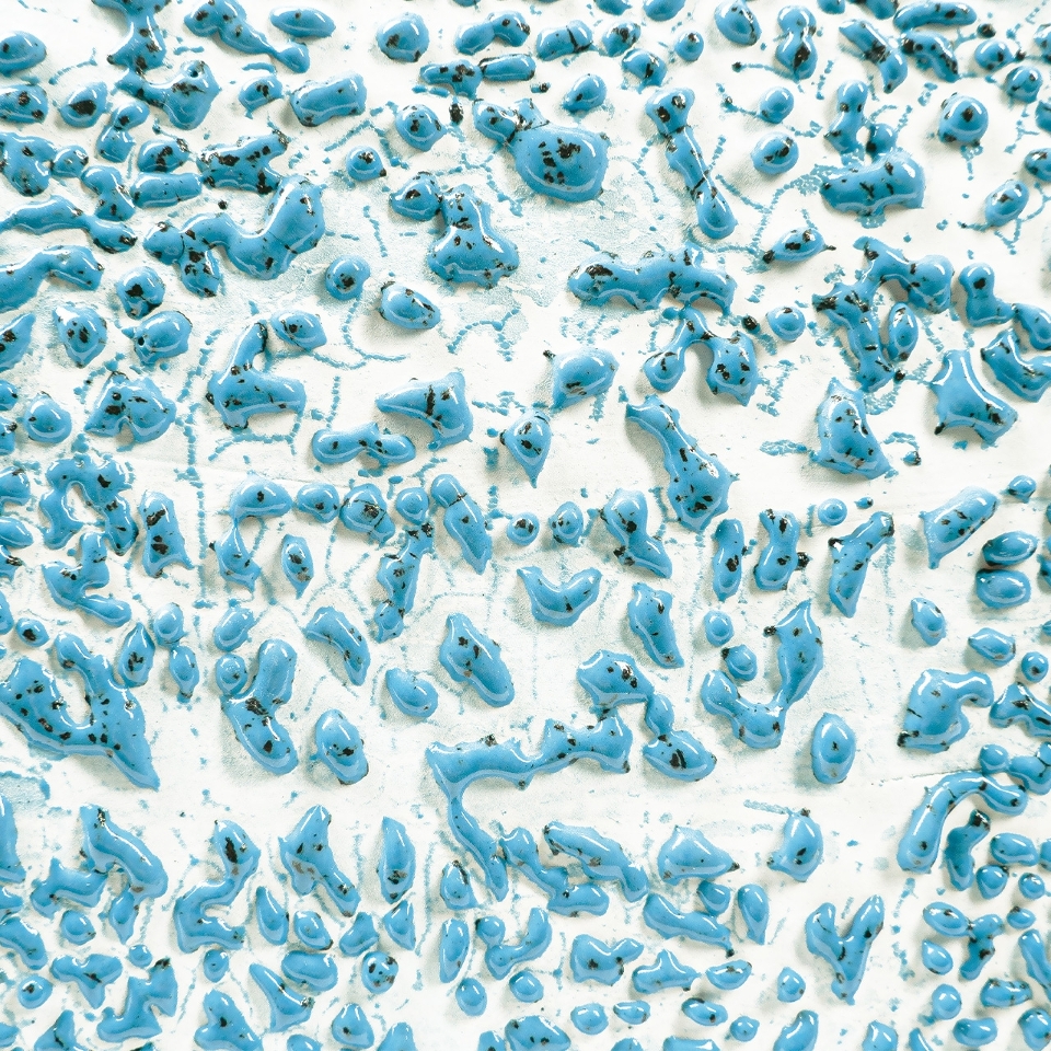 Speckled Teal CR-22
