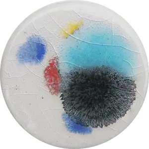 Cosmos