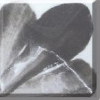 Art Grey
