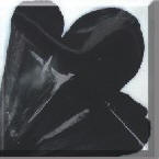 Cobalt Black