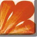 Deep Orange