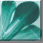 Jade Green