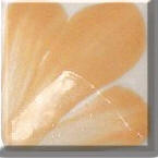 Pastel Salmon