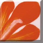 Persimmon