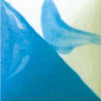 AquaMarina