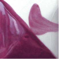 Elinor Lilac