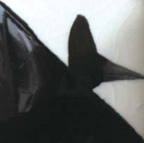 Tutto Nero