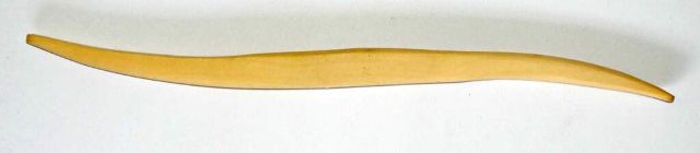 Modelling Tool Boxwood 19