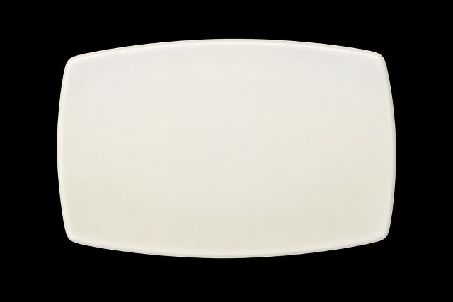 Sushi - Rectangular - Small