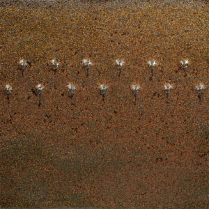 Cosmic Gold Dust PC-69